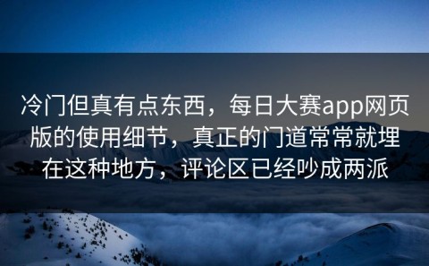 冷门但真有点东西，每日大赛app网页版的使用细节，真正的门道常常就埋在这种地方，评论区已经吵成两派