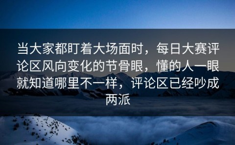 当大家都盯着大场面时，每日大赛评论区风向变化的节骨眼，懂的人一眼就知道哪里不一样，评论区已经吵成两派