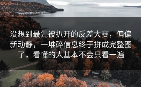 没想到最先被扒开的反差大赛，偏偏新动静，一堆碎信息终于拼成完整图了，看懂的人基本不会只看一遍