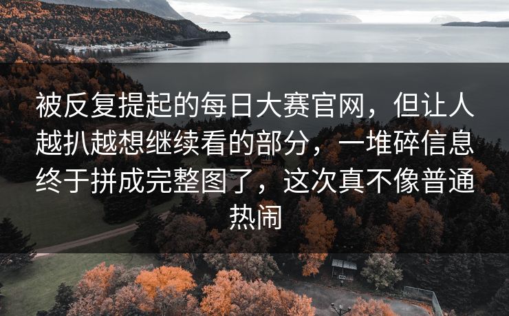 被反复提起的每日大赛官网，但让人越扒越想继续看的部分，一堆碎信息终于拼成完整图了，这次真不像普通热闹